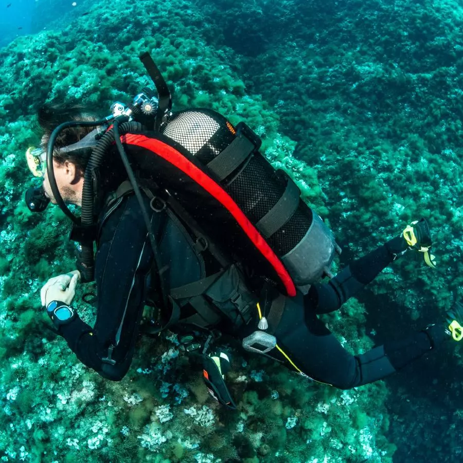 Жилет компенсатор BCD SEAC SUB MODULAR ONE SIZE